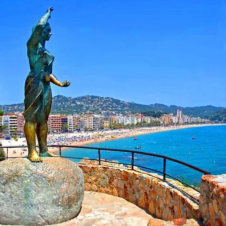 Zodiac Ab Aster Lloret de Mar